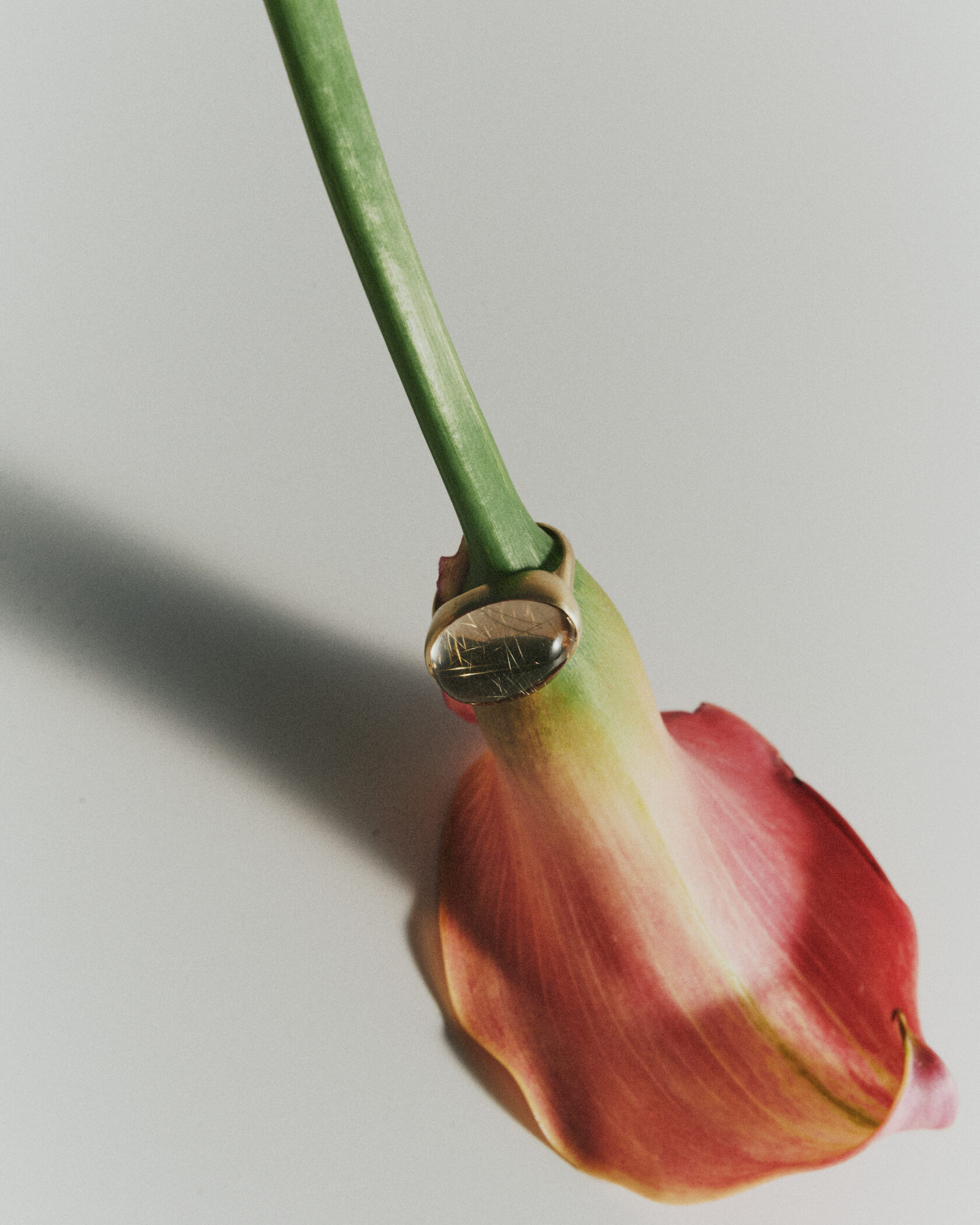 Кольцо Силы с рутиловым кварцем