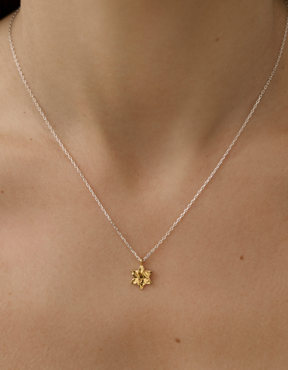 Подвеска Звезда Давида