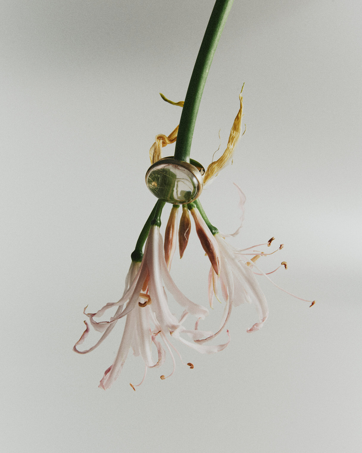 Кольцо Силы с рутиловым кварцем