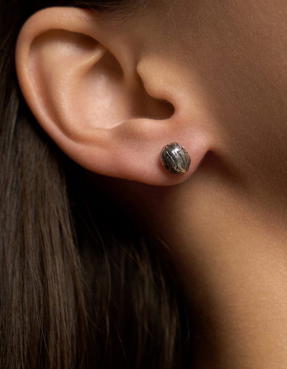 Пусеты Кракатук